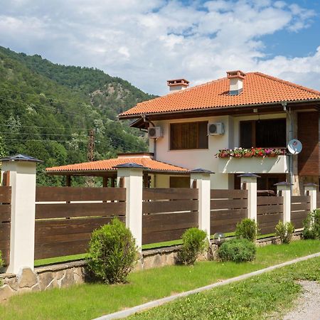 Guest House Vitora Ribaritsa Екстер'єр фото